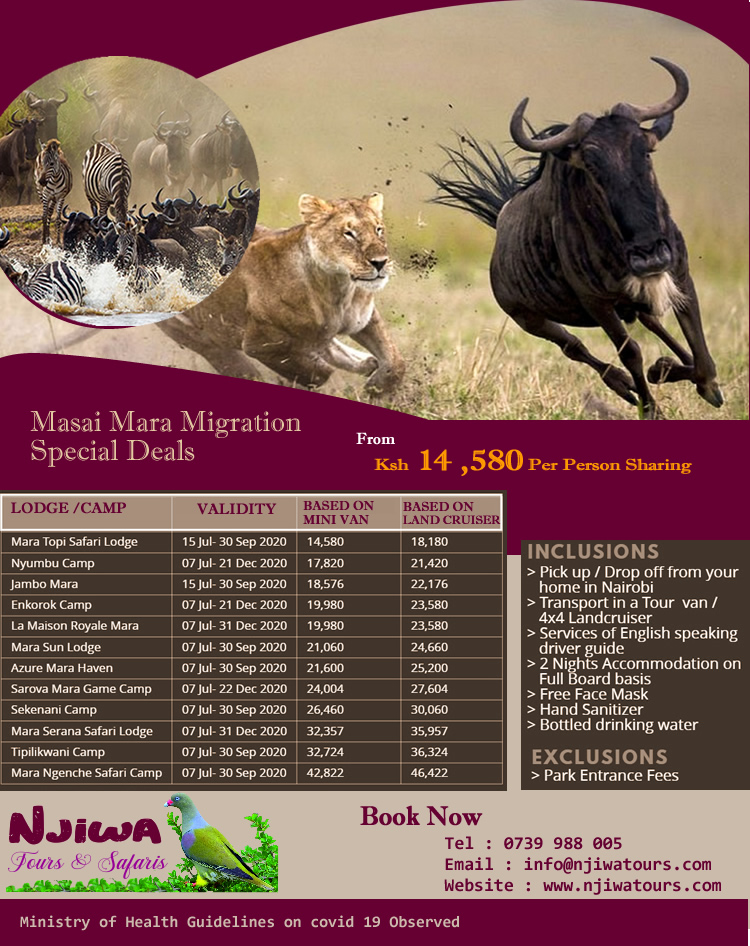 Masai Mara Migration Special Deals